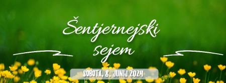 šentjernejski sejem